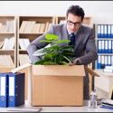 What to Expect When You Hire Professional Movers in Yarmouth