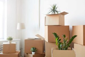 reserve residential moving services