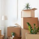 Stress Free Moving in Framingham: Local & Long-Distance Moving